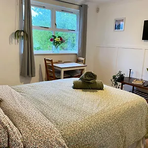  Apartment Bright And Comfortable Studio